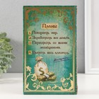 Шкатулка книга кожа "Мои наполеоновские планы" 21х13х5 см - Фото 4