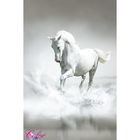 Панно "Белая лошадь" К-201 (2 полотна), 200x300 см - фото 297957955