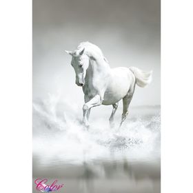 Панно "Белая лошадь" К-201 (2 полотна), 200x300 см