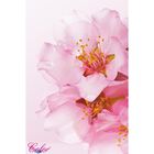 Панно "Розовый цветок" К-202 (2 полотна), 200x300 см - фото 297957957