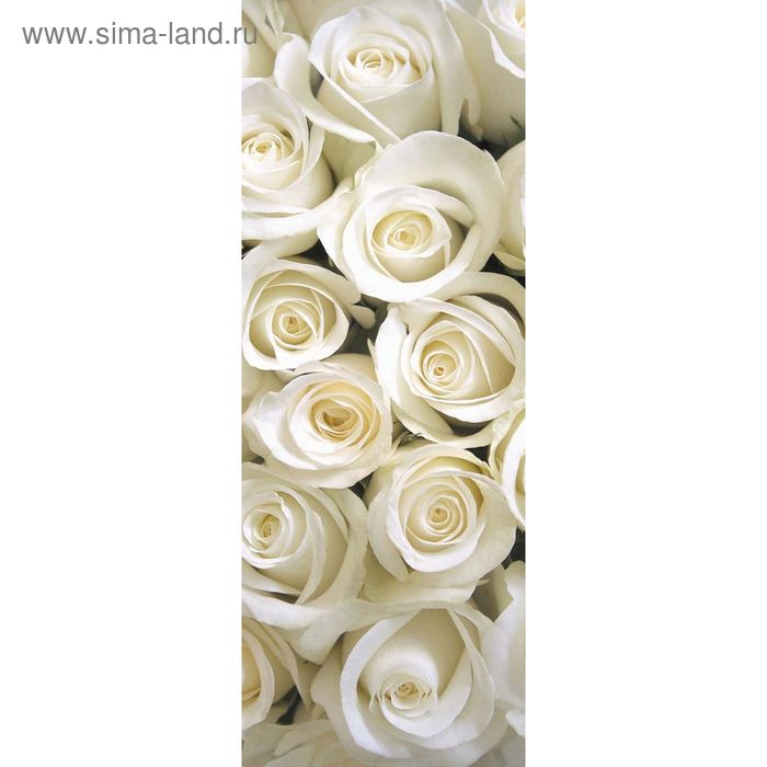 Фотообои "Белые розы" M 106 (1 полотно), 100х270 см - Фото 1