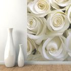 Фотообои "Белые розы" M 106 (1 полотно), 100х270 см - Фото 2