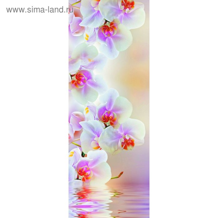 Фотообои "Светлая орхидея" M 101 (1 полотно), 100х270 см - Фото 1