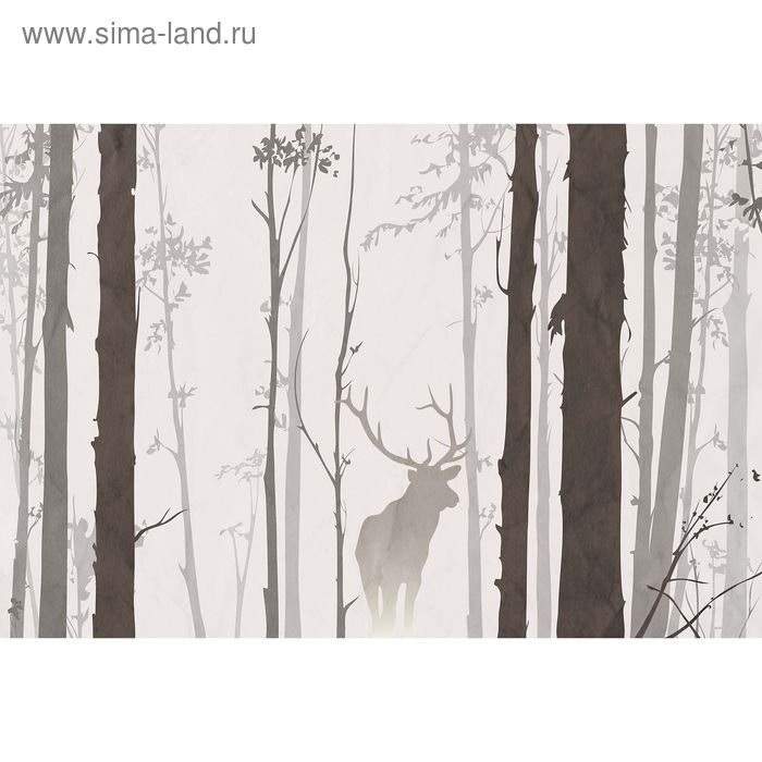 Фотообои "В лесу" M 601 (2 полотна), 200х135 см - Фото 1