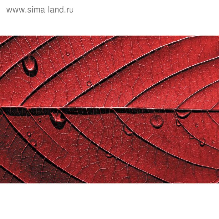 Фотообои "Красный лист" M 613 (2 полотна), 200х135 см - Фото 1