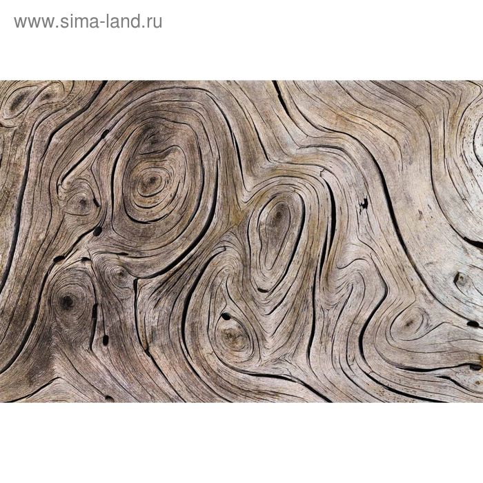 Фотообои "Текстура дерева" M 622 (2 полотна), 200х135 см - Фото 1