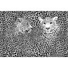 Фотообои "Черно-белые леопарды" M 604 (2 полотна), 200х135 см - фото 297958535