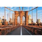 Фотообои "Бруклинский мост" M 783 (3 полотна), 300х200 см - фото 297958681