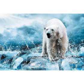 Фотообои "Медведь во льдах" M 706 (3 полотна), 300х200 см