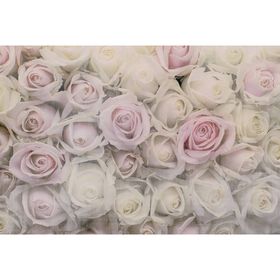 Фотообои "Розовая нежность" M 718 (3 полотна), 300х200 см