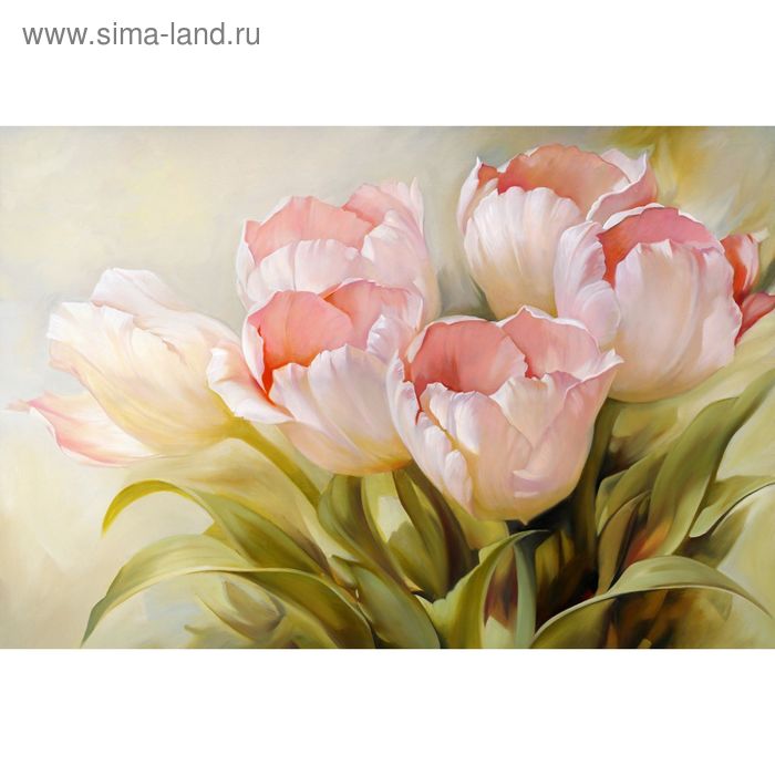 Фотообои "Нежный тюльпан" M 459 (4 полотна), 400х270 см - Фото 1