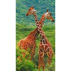 Фотообои "Жирафы" 1-А-109 (1 полотно), 150х270 см - Фото 1