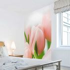 Фотообои "Розовые тюльпаны" 1-А-136 (1 полотно), 150х270 см - Фото 2