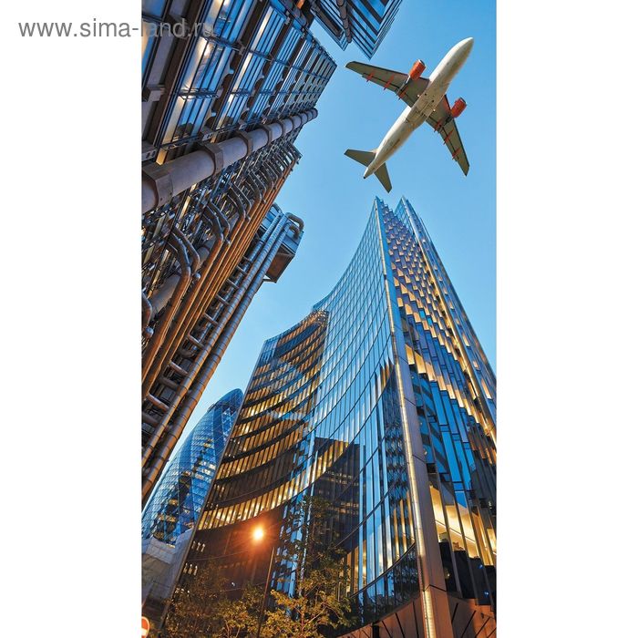 Фотообои "Самолет над небоскребами" 1-А-159 (1 полотно), 150х270 см - Фото 1