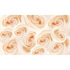 Фотообои "Белые розы" 2-А-206 (1 полотно), 270x150 см - фото 307055101