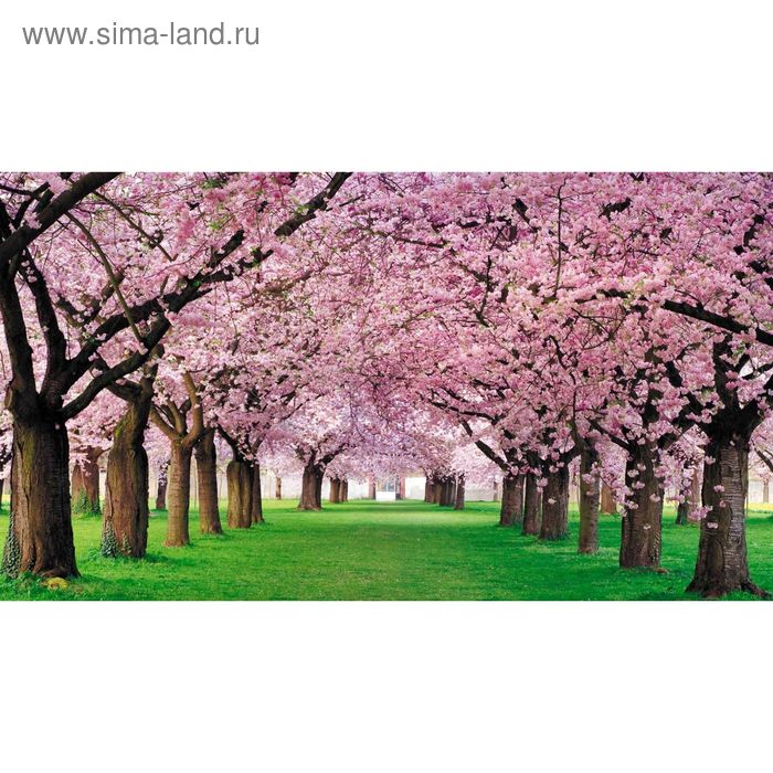 Фотообои "Яблоневый сад" 2-А-214 (1 полотно), 270x150 см - Фото 1