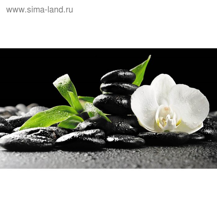 Фотообои "Орхидея и камни" 2-А-228 (1 полотно), 270x150 см - Фото 1
