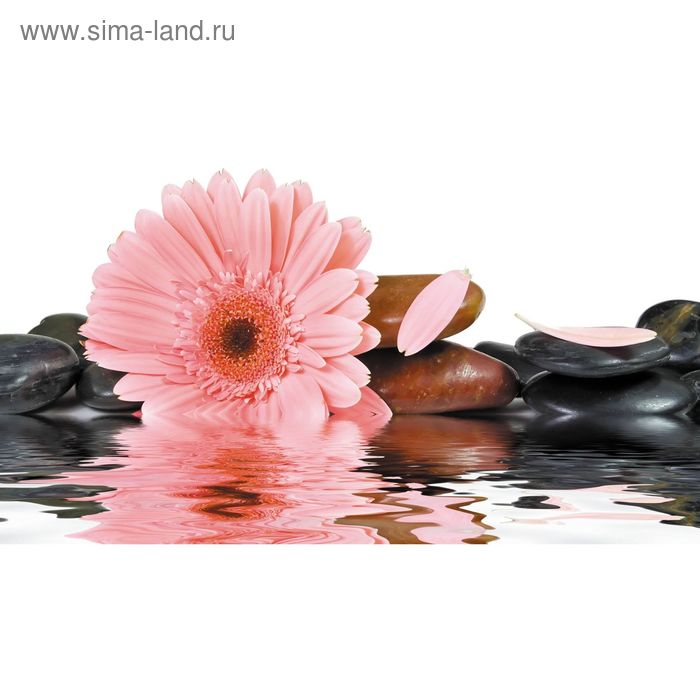 Фотообои "Цветок, вода и камни" 2-А-229 (1 полотно), 270x150 см - Фото 1