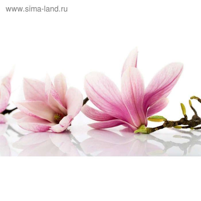Фотообои "Розовые цветы" 2-А-260 (1 полотно), 270x150 см - Фото 1