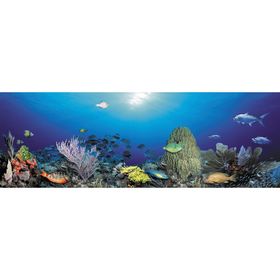 Фотообои "Подводный мир. Кораллы" 3-А-303 (1 полотно), 440x150 см