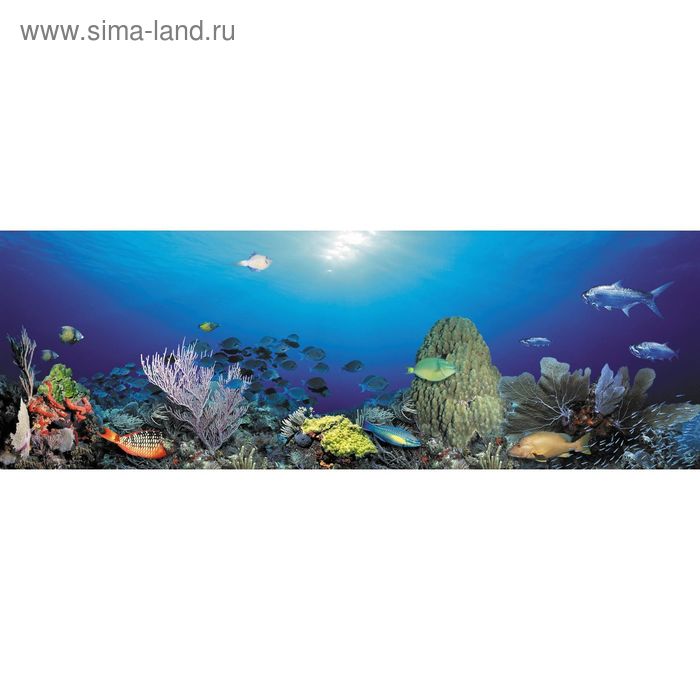 Фотообои "Подводный мир. Кораллы" 3-А-303 (1 полотно), 440x150 см - Фото 1