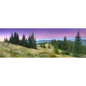 Фотообои "Фиолетовый закат"  3-А-329 (1 полотно), 440x150 см