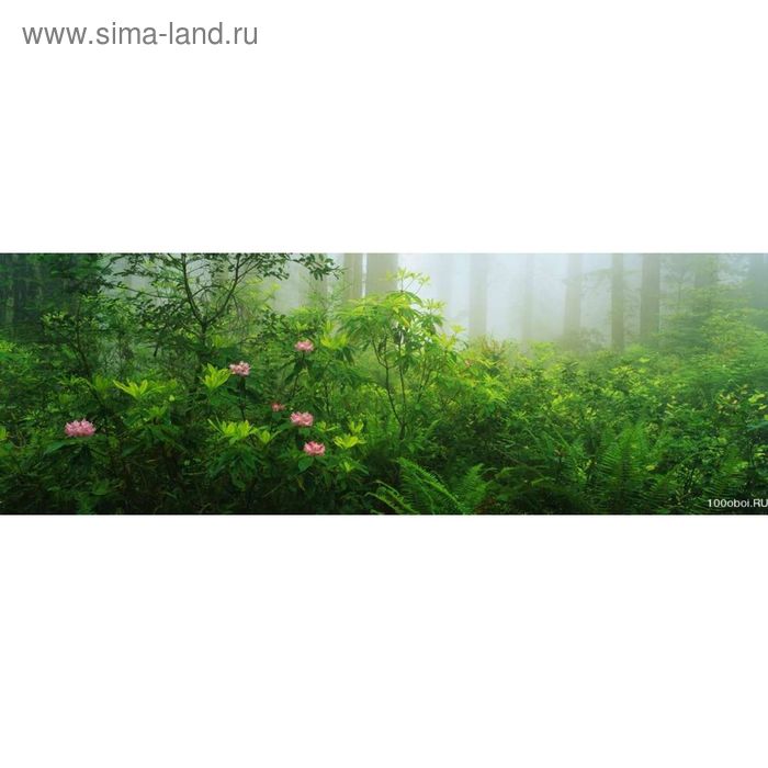 Фотообои "Лес в тумане" 3-А-330 (1 полотно), 440x150 см - Фото 1