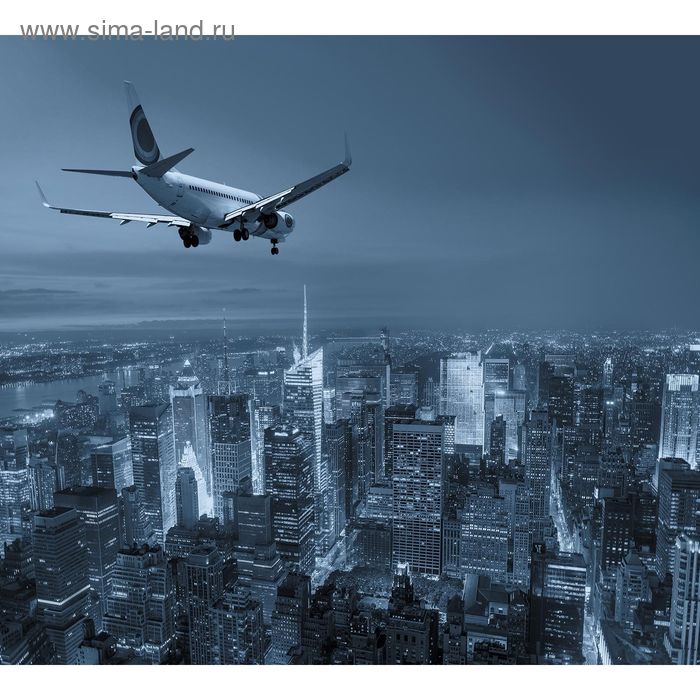 Фотообои "Пролетая над городом" 6-А-626 (2 полотна), 300x270 см - Фото 1