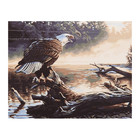 Картина по номерам «Утренняя охота» 40х50 см - Фото 1