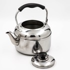 Чайник, 4 л, нержавеющая сталь - Фото 2