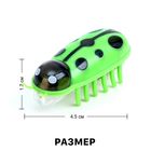 Жучок «Робот-жук», работает от батареек, МИКС - Фото 2