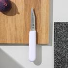 Нож кухонный для овощей Professional Master, лезвие 7,5 см - Фото 1