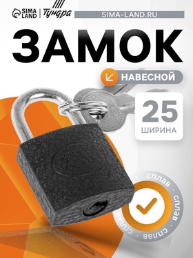 Замок навесной, тип 10, 25×42 мм, 2 ключа 2603141
