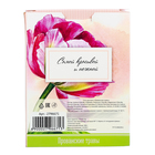 Соль для ванн "В день 8 марта" с ароматом прованских трав, 500 г - Фото 4