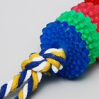 Игрушка жевательная "Шестерёнка на канате", 32 см, диаметр колец 5 см, микс цветов - фото 9912381