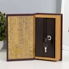 Шкатулка книга - сейф «Личный валютный запас», дерево, искусственная кожа, 21×13×5 см - Фото 2