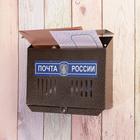 Ящик почтовый без замка (с петлёй), горизонтальный «Мини», бронзовый - фото 9804217