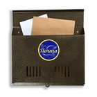 Ящик почтовый без замка (с петлёй), горизонтальный «Широкий», бронзовый - фото 319849645