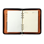 Ежедневник-органайзер Calligrata, А5, 96 листов, на молнии, обложка из искусственной кожи, МИКС 2671220