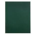 Тетрадь 48 листов в клетку "Зелёная", обложка бумвинил, блок №2 (серые листы) - фото 8609148