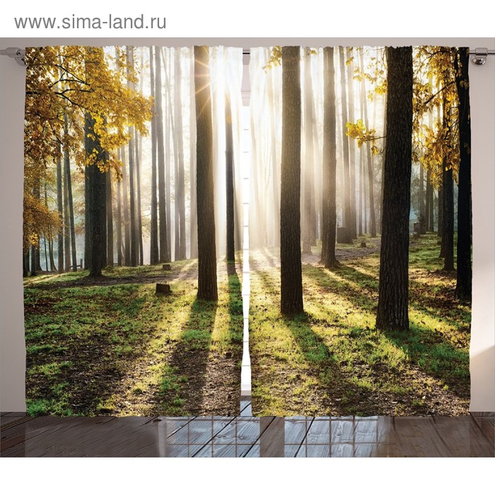 Комплект фотоштор JoyArty «Солнце в осеннем лесу», размер 145 х 265 см - 2 шт - Фото 1