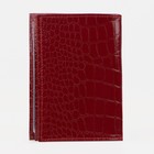 Обложка для автодокументов и паспорта, цвет красный - фото 8354352