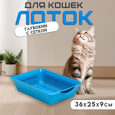 Туалет глубокий с сеткой 36×25×9 см, голубой