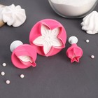Плунжеры кондитерские Доляна «Цветок. Листок. Звёздочка», набор 3 шт., пластик, розовые - Фото 2