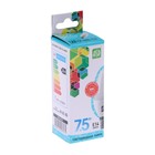 Лампа светодиодная ASD LED-СВЕЧА-standard, Е14, 7.5 Вт, 230 В, 4000 К, 675 Лм - Фото 7