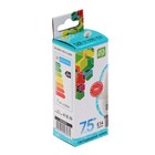 Лампа светодиодная ASD LED-СВЕЧА-standard, Е14, 7.5 Вт, 230 В, 4000 К, 675 Лм - Фото 9