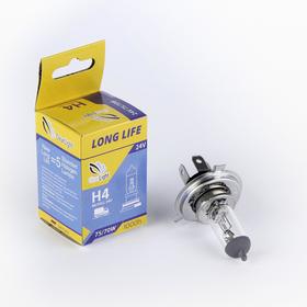 Лампа автомобильная Clearlight LongLife, H4, 24 В, 70/75 Вт