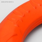 Кольцо «ДогЛайк» D-2611, 8-мигранное, большое, ⌀ 30.5 см - Фото 4