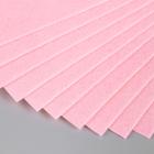 Фетр 1 мм "Нежно-розовый" МИКС набор 10 листов формат А4 - фото 8650206