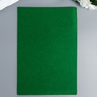 Фетр жесткий 1 мм "Летняя зелень" набор 10 листов формат А4 - Фото 2